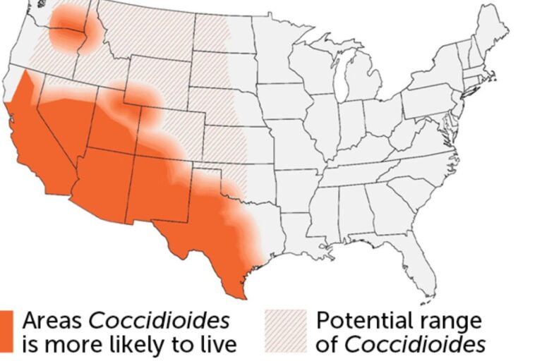 California droughts may help valley fever spread